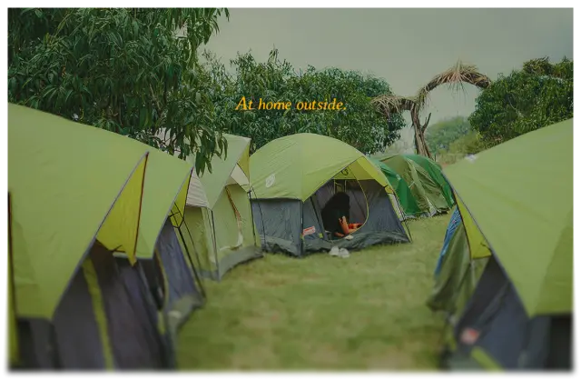 At home outside. Rows of green tents pitched on grass under the trees.