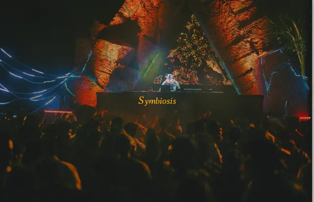 Symbiosis. A DJ on a lit stage above a packed crowd at night.